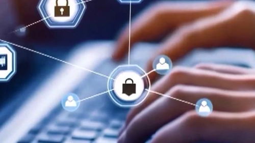 AI養(yǎng)龍蝦走紅背后的隱憂 警惕信息泄露與網(wǎng)絡(luò)安全風(fēng)險(xiǎn)